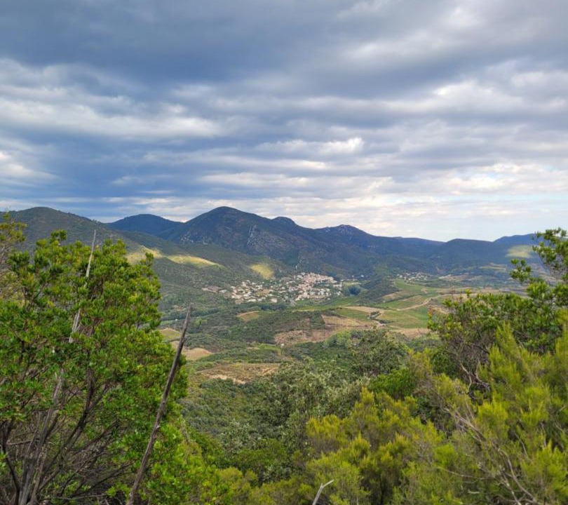 Photo of Others in Roquebrun