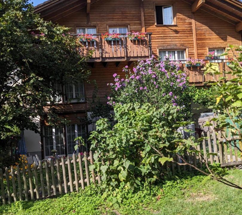 Photo of Others in Linthal