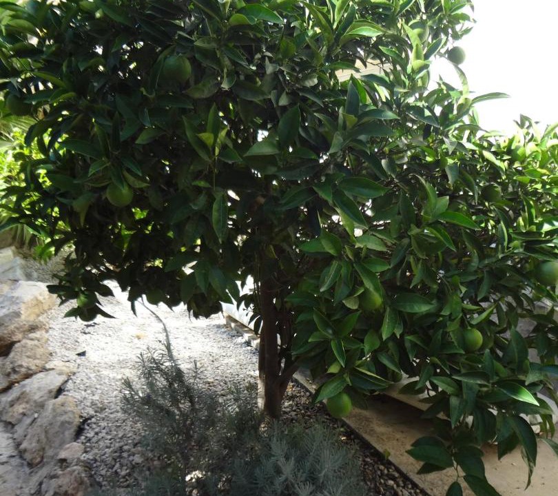 Photo of Outdoor in Moravit