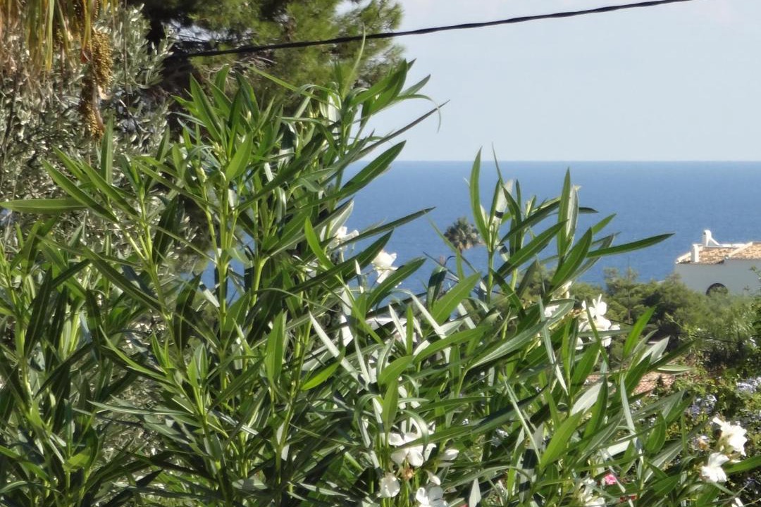 Photo of Outdoor in Moravit