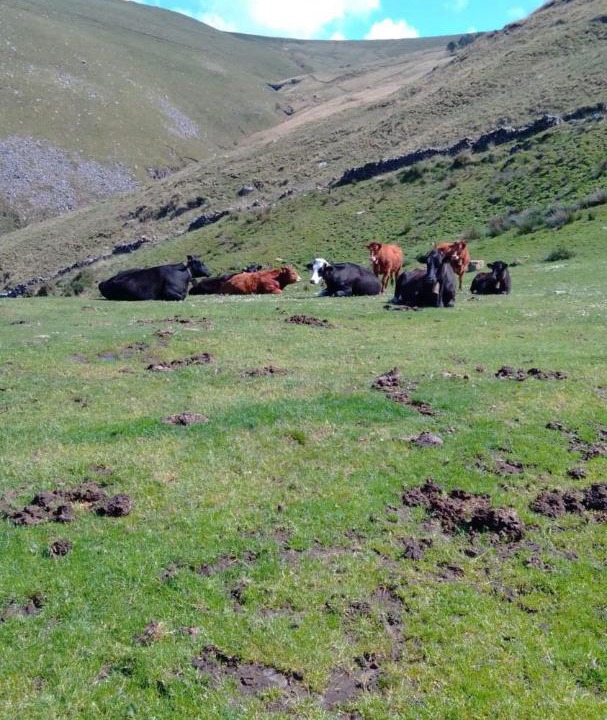 Photo of Others in Abionzo