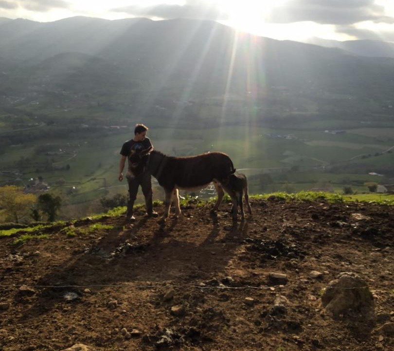 Photo of Others in Abionzo