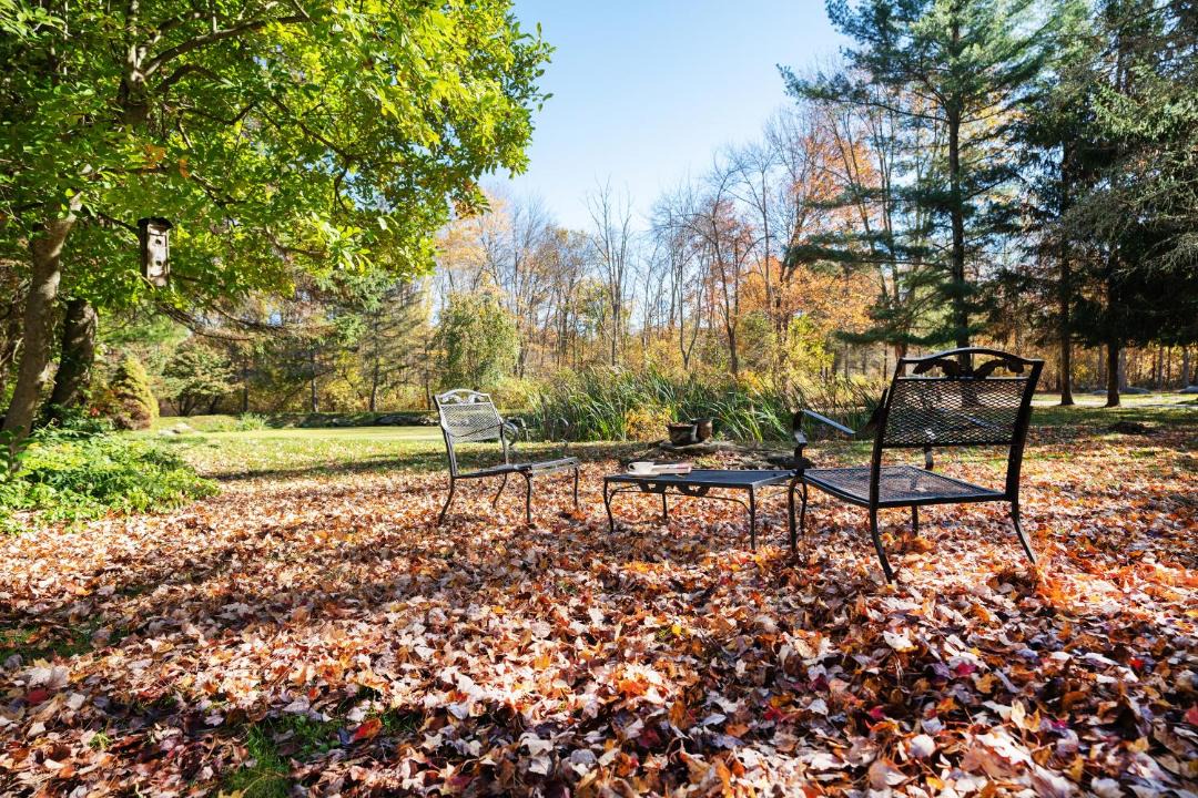 Photo of Others in New Preston