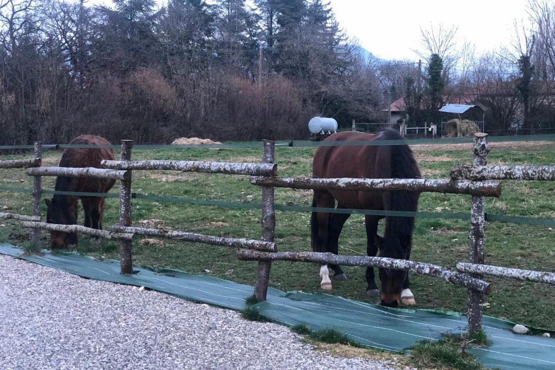 Photo of Others in Renage