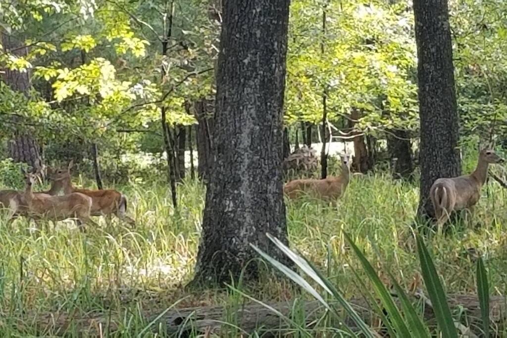 Photo of Others in Oakhurst