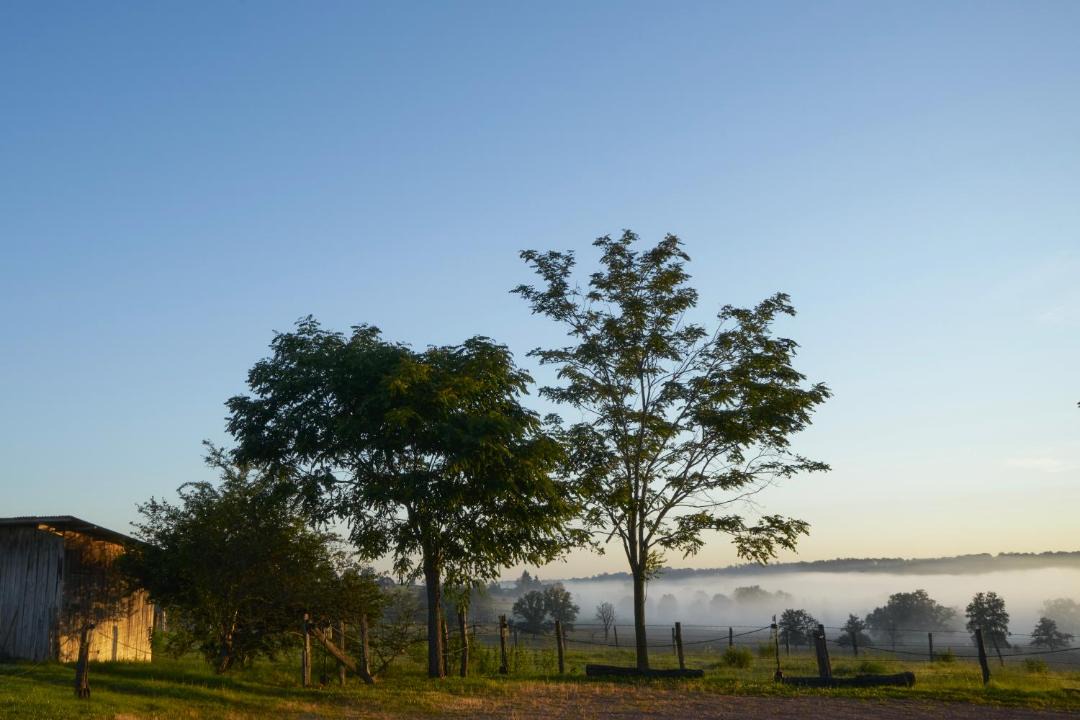 Photo of Others in Iguerande