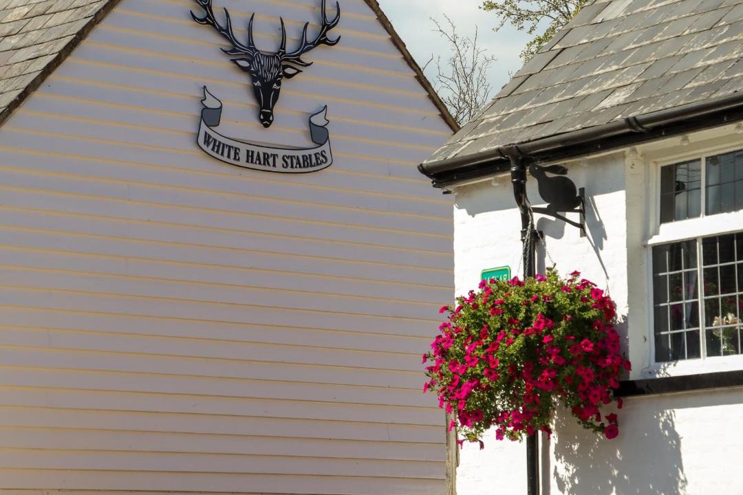 Photo of Others in Battle