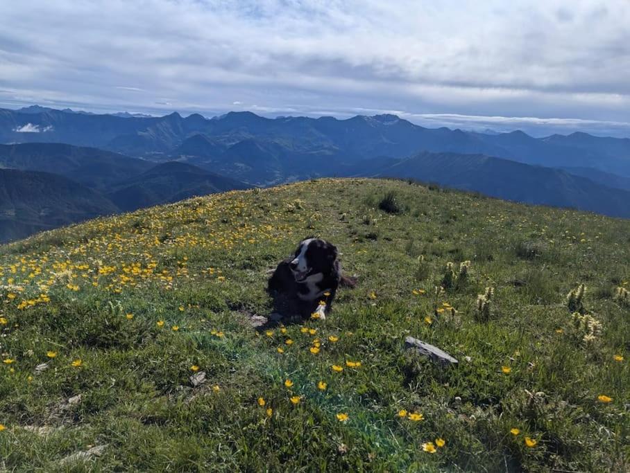 Photo of Others in Barles