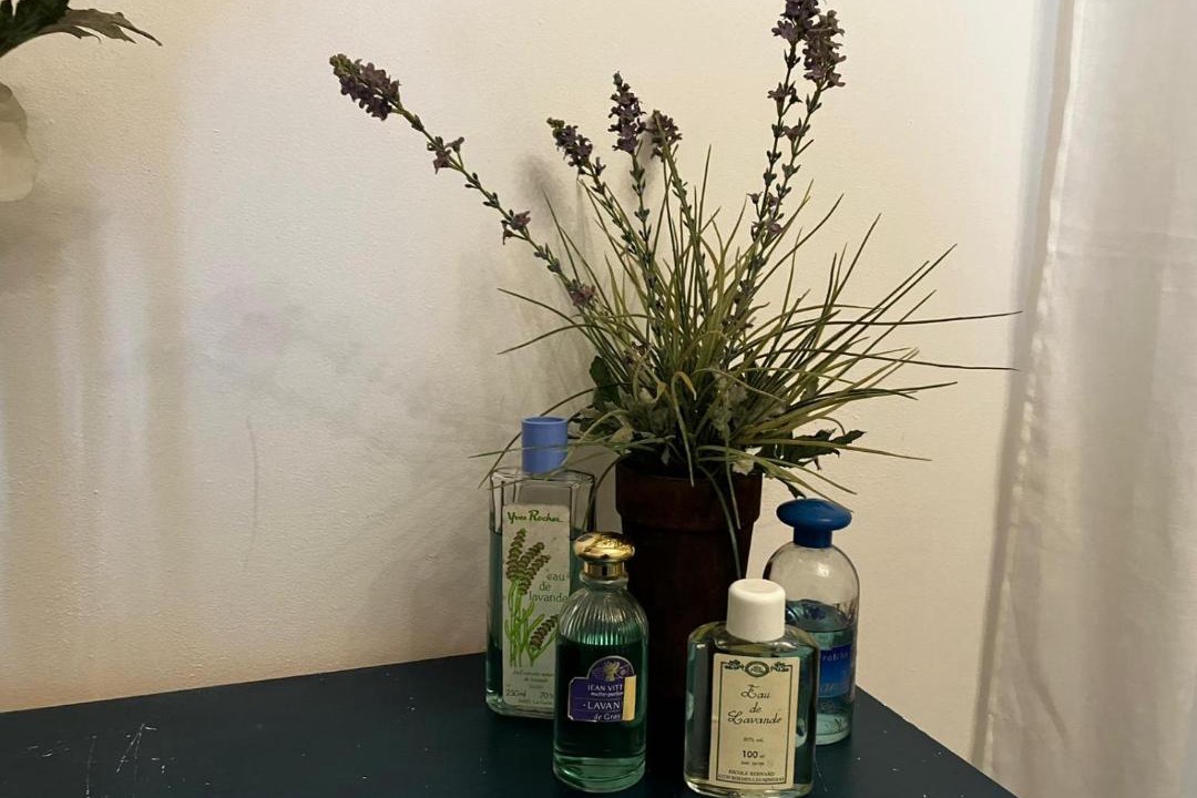 Photo of Others in Oradour-Fanais