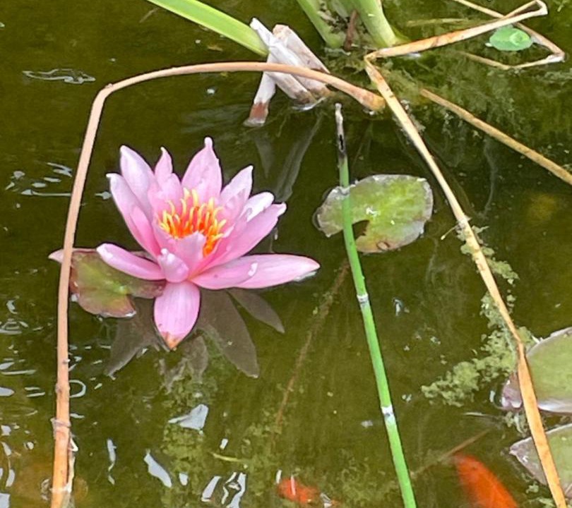 Photo of Others in Ecourt-Saint-Quentin
