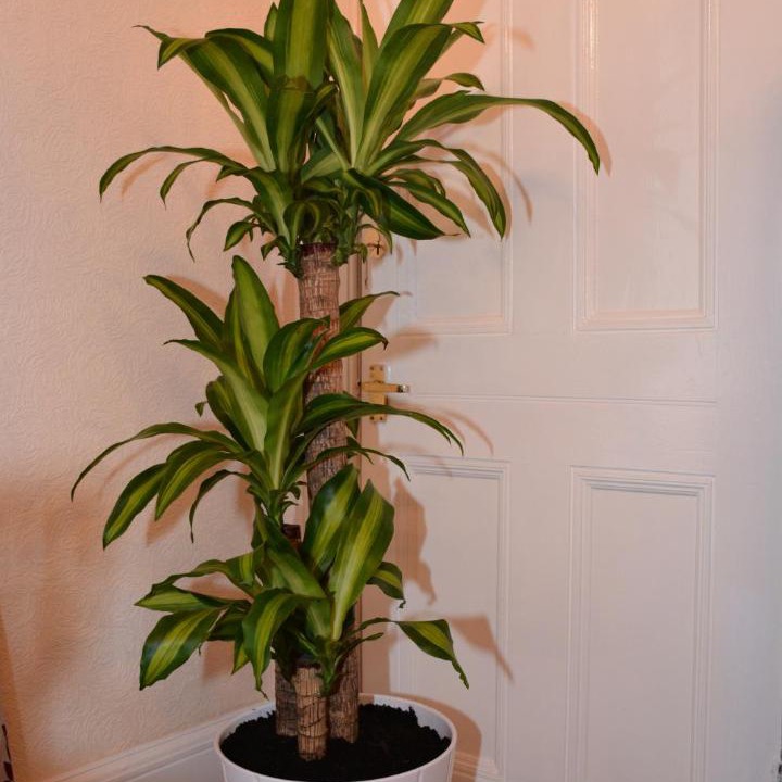 Photo of Bathroom in Tillicoultry