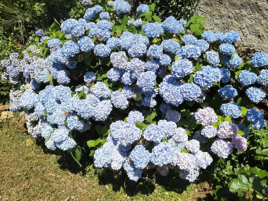 Photo of Outdoor in Soulan