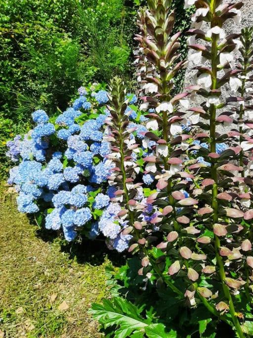 Photo of Outdoor in Soulan