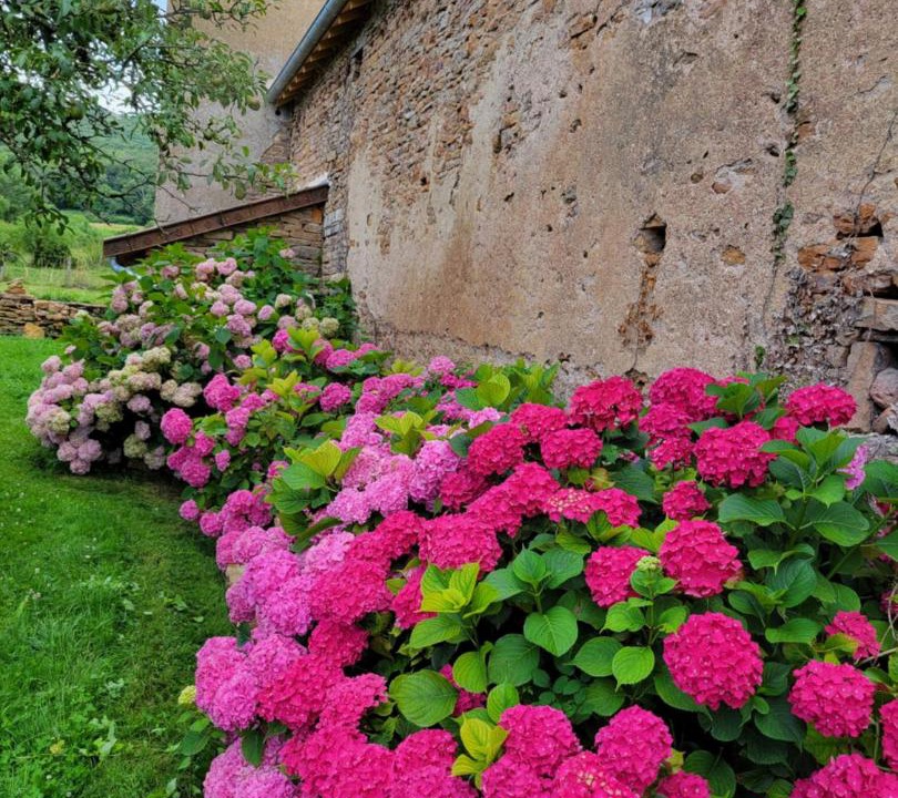 Photo of Others in Etrigny