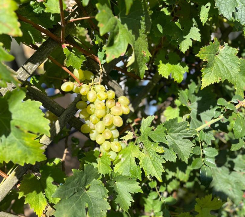 Photo of Outdoor in Saint-Germain-lAiguiller