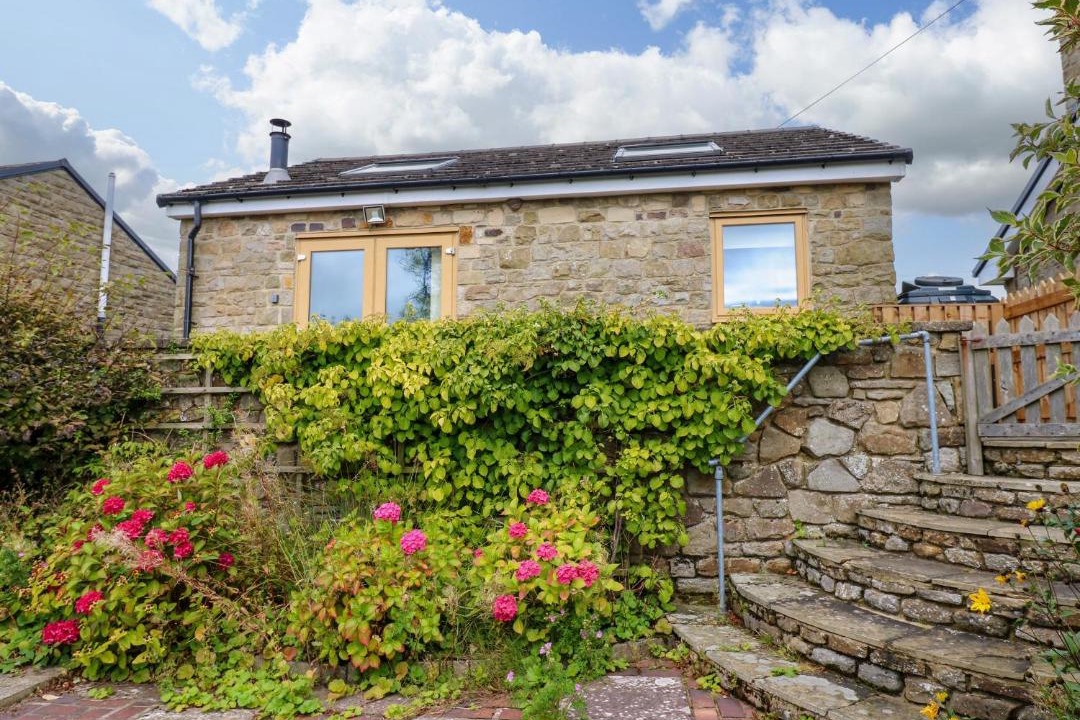 Photo of Others in Woodland