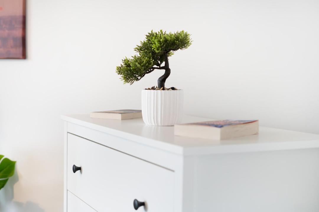 Photo of Others in Washington