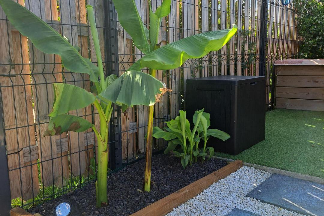 Photo of Others in Saint-Pierre-de-Clairac