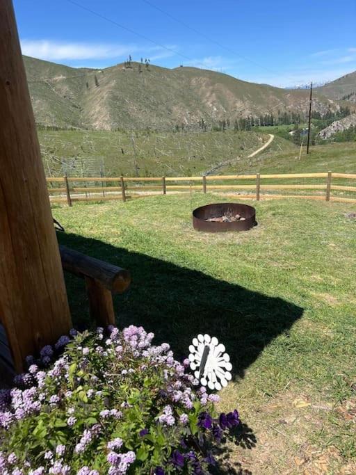 Photo of Others in Conner