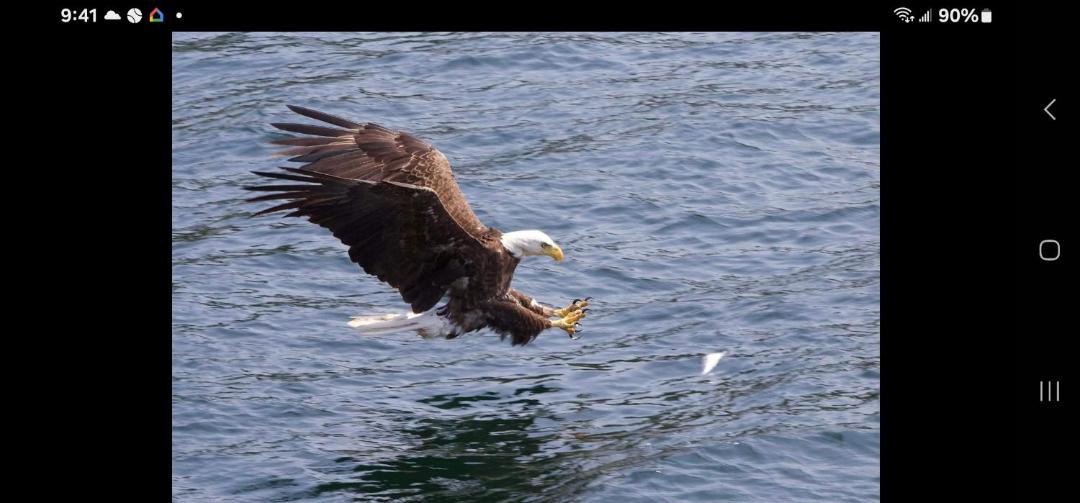 Photo of Others in Baddeck