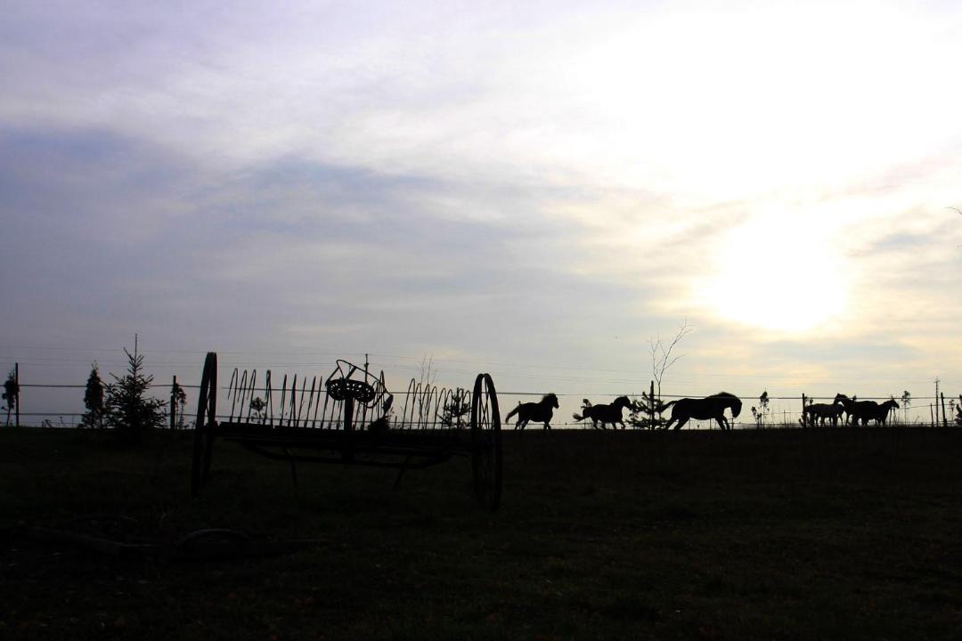 Photo of Outdoor in Pechki