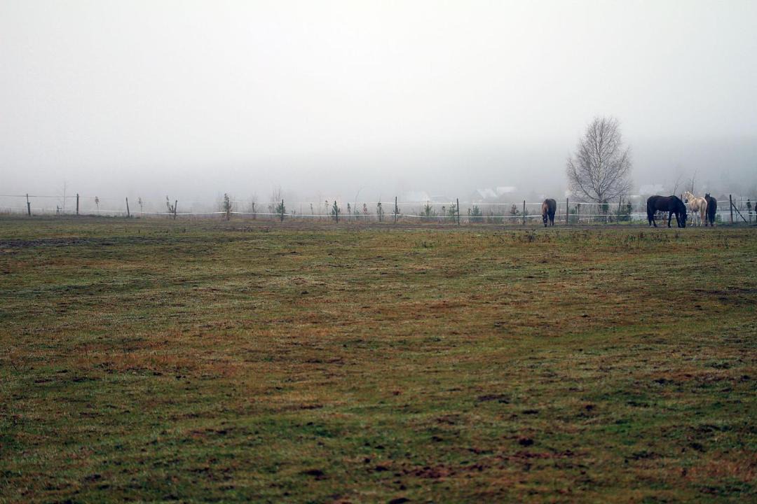 Photo of Outdoor in Pechki