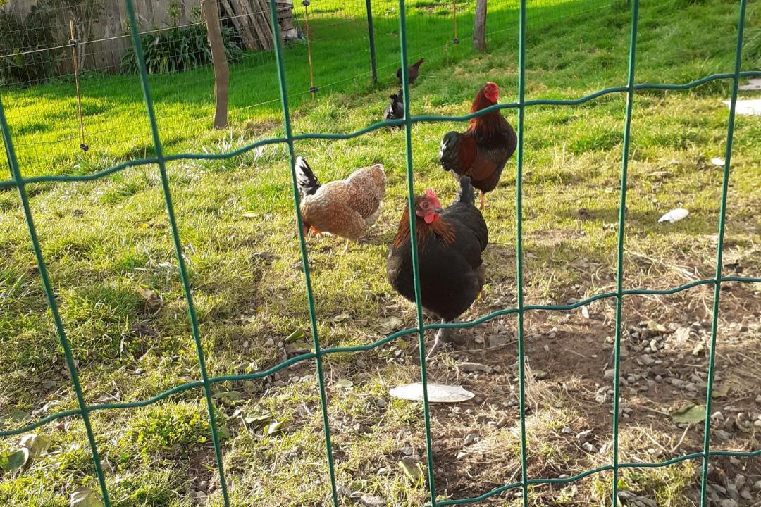 Photo of Others in Gratot