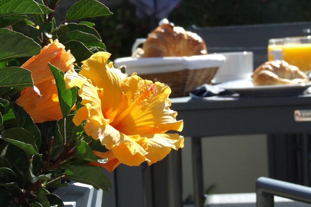 Photo of Patio Balcony in Chagny