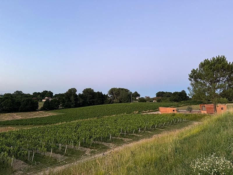 Photo of Others in Berson