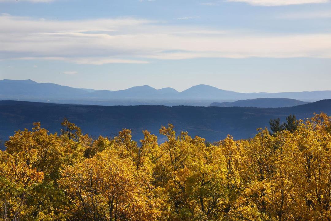 Photo of Others in Haute-Provence-Pays de Banon