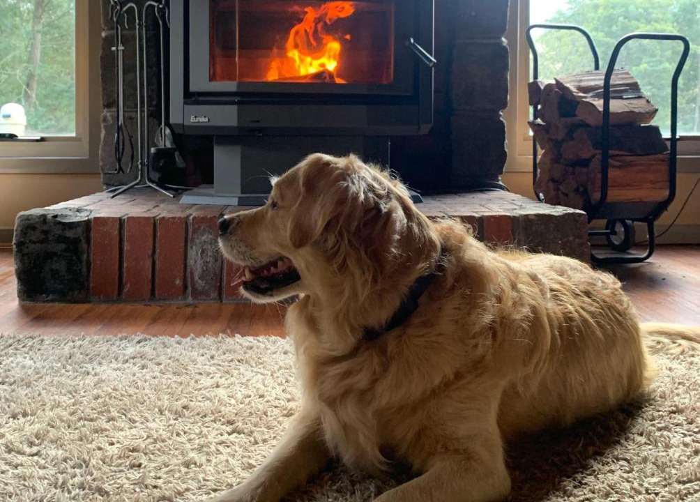 Photo of Others in Kinglake