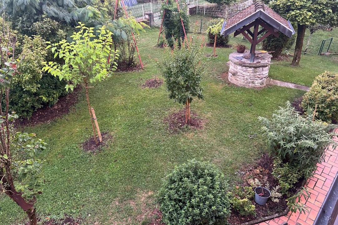 Photo of Others in Vorges-les-Pins