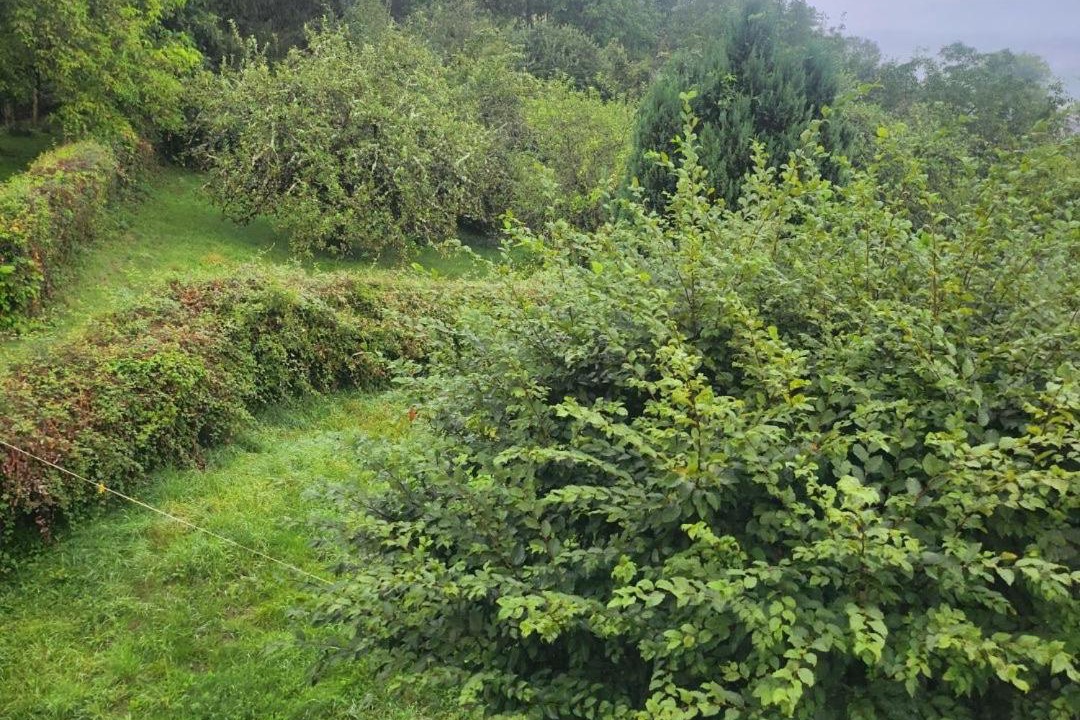 Photo of Outdoor in Chateau-Chinon
