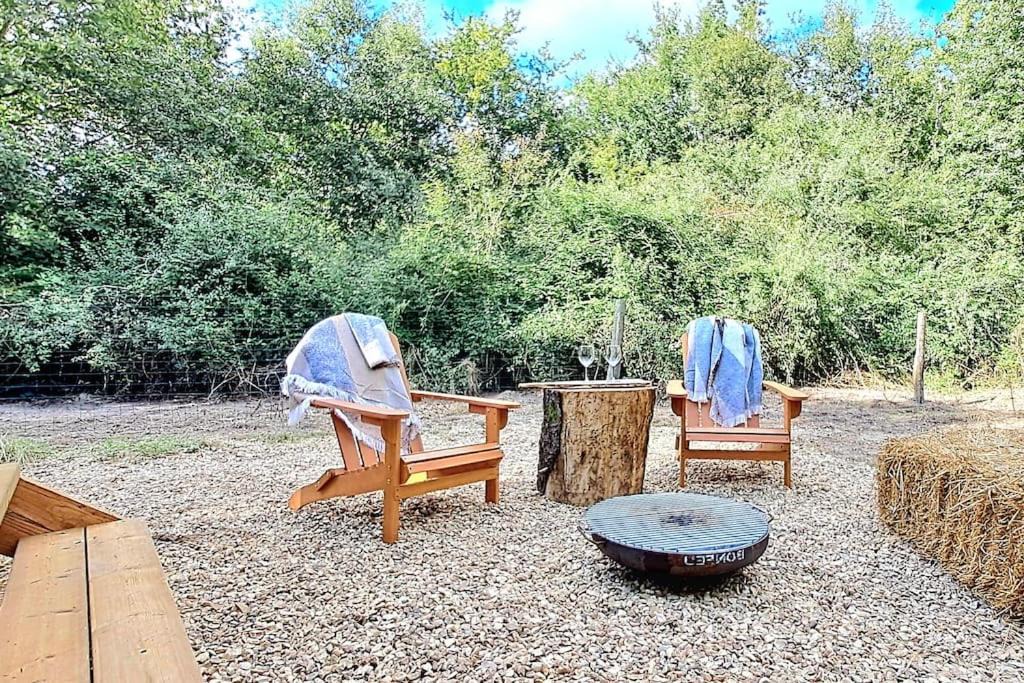 Photo of Others in Ligny-le-Ribault