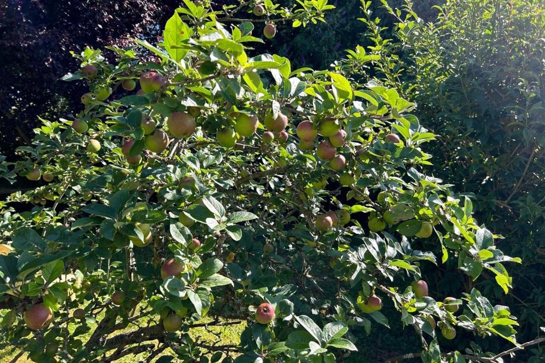 Photo of Outdoor in Le L'habit