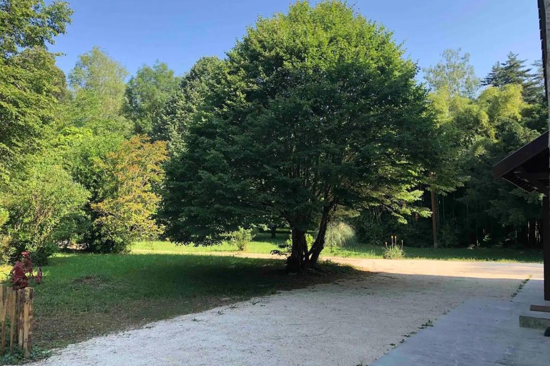 Photo of Outdoor in Chindrieux