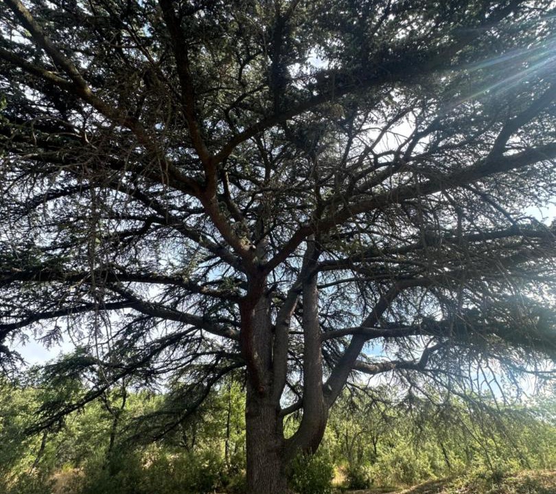 Photo of Others in Beauchastel