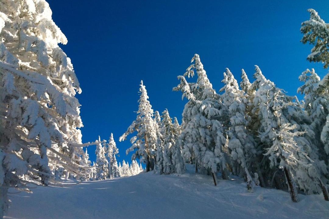 Photo of Others in River West