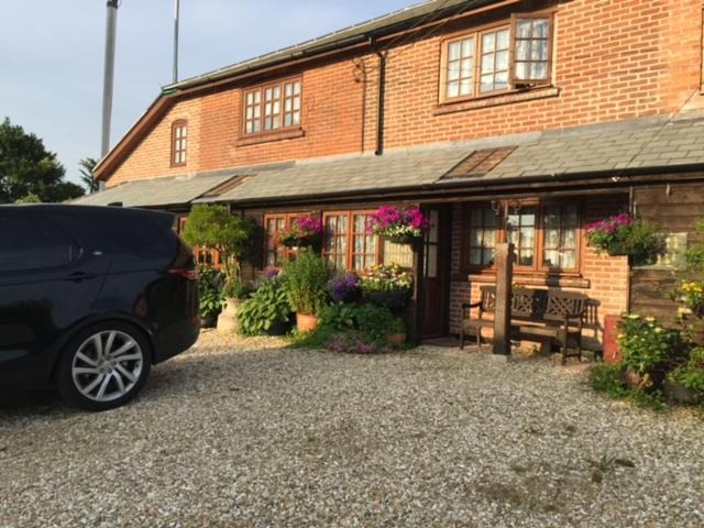 Photo of Others in Holworth