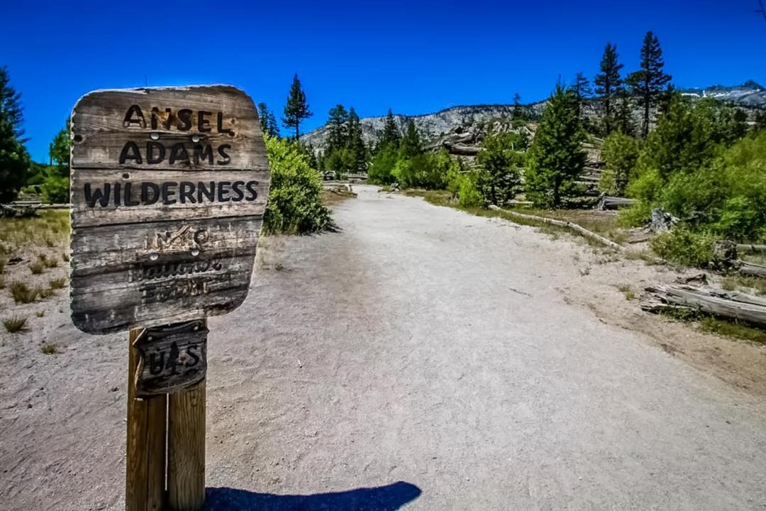 Photo of Others in Mammoth Lakes