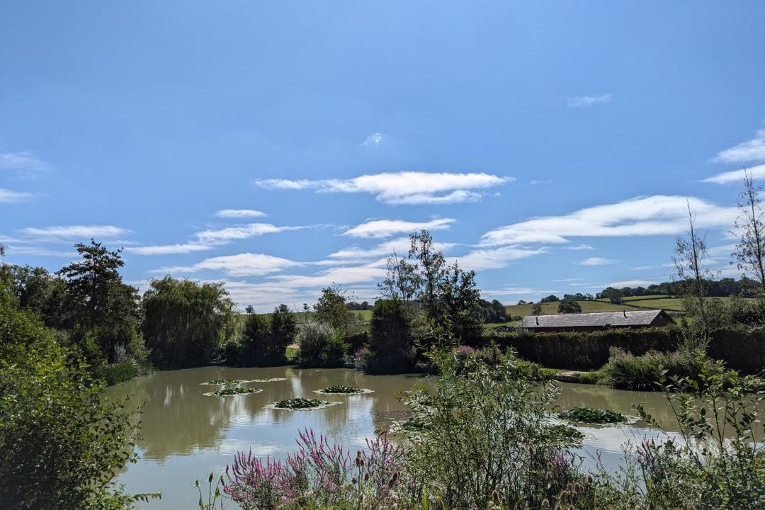 Photo of Others in Gumley