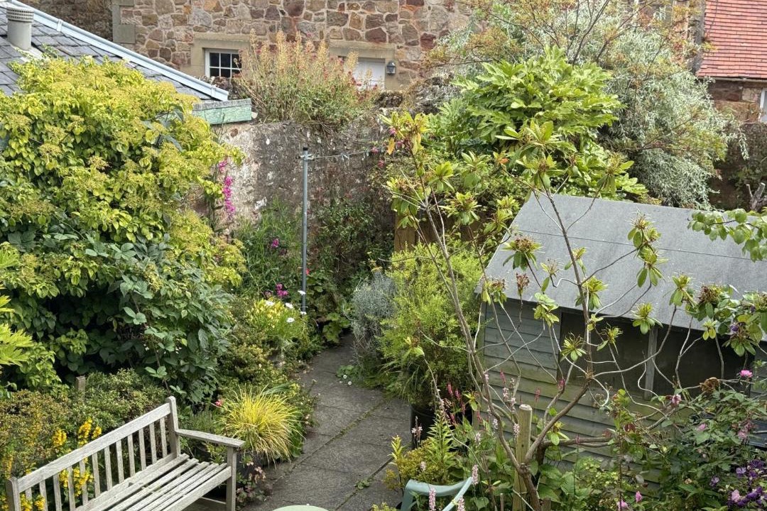 Photo of Others in Crail