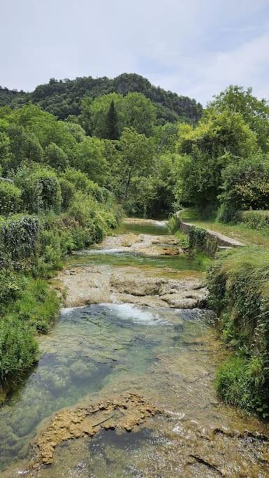 Photo of Others in Salles-la-Source