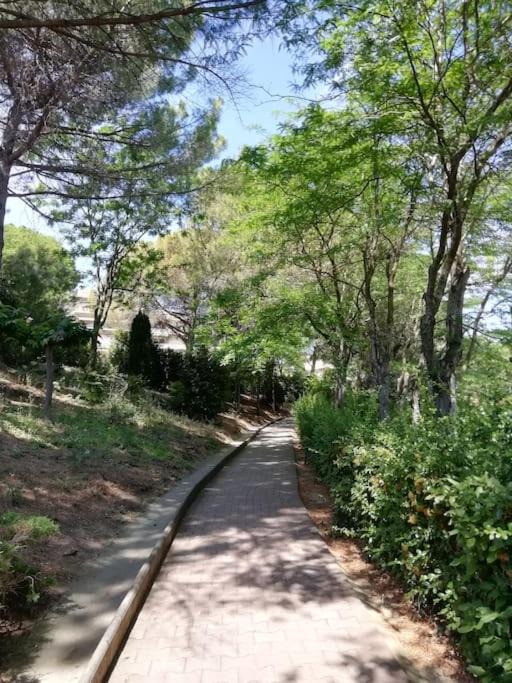 Photo of Outdoor in Estanove