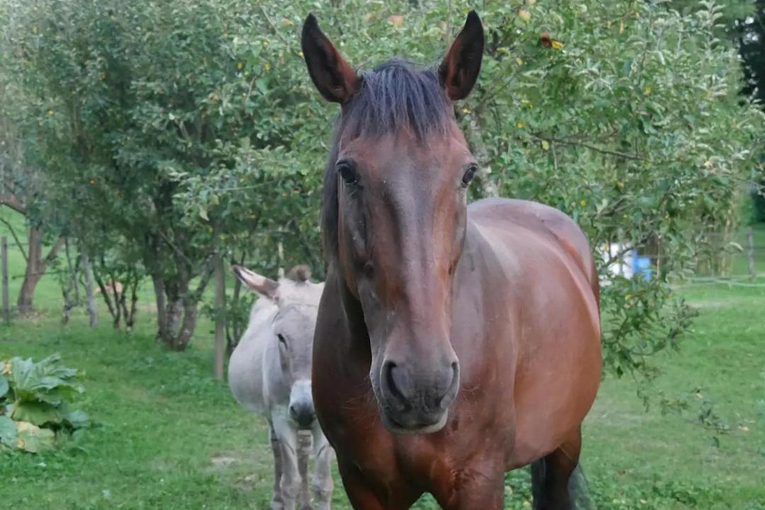 Photo of Others in Argentieres