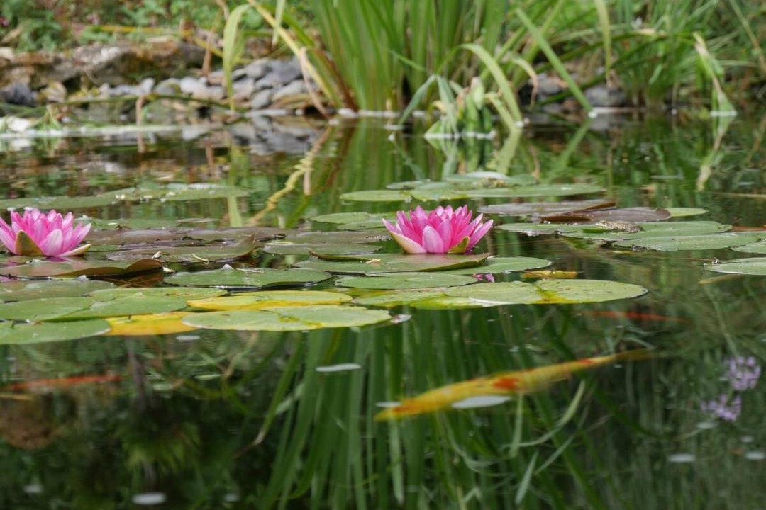 Photo of Others in Argentieres