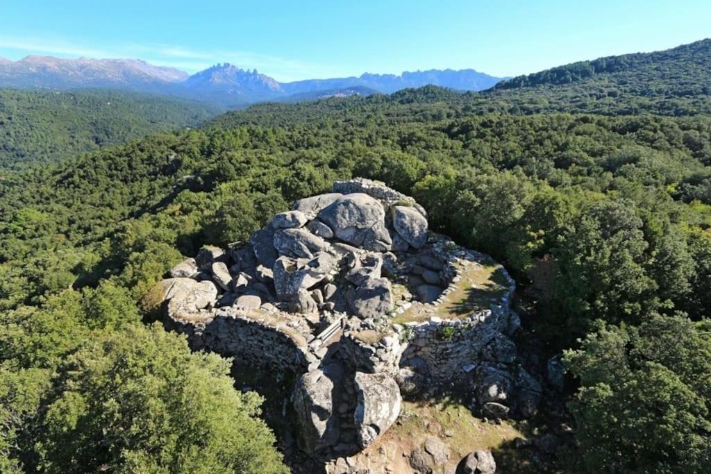 Photo of Others in Levie