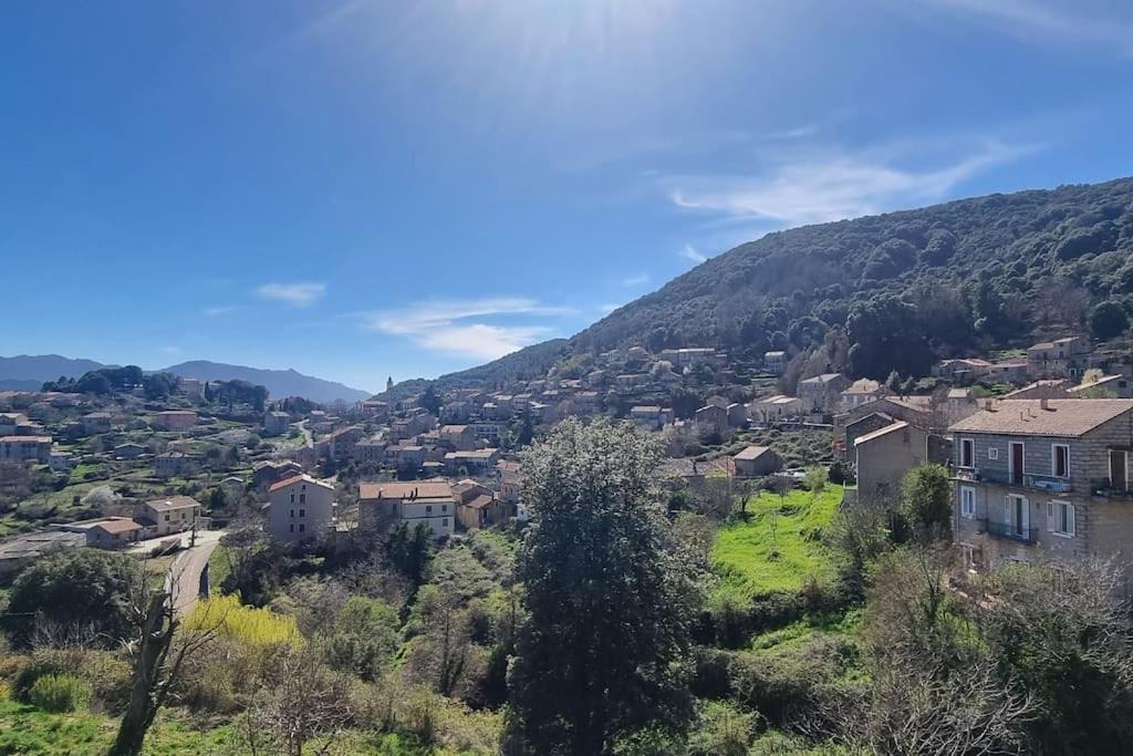 Photo of Others in Levie