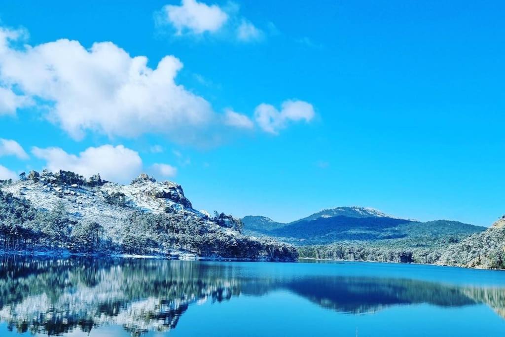 Photo of Others in Levie