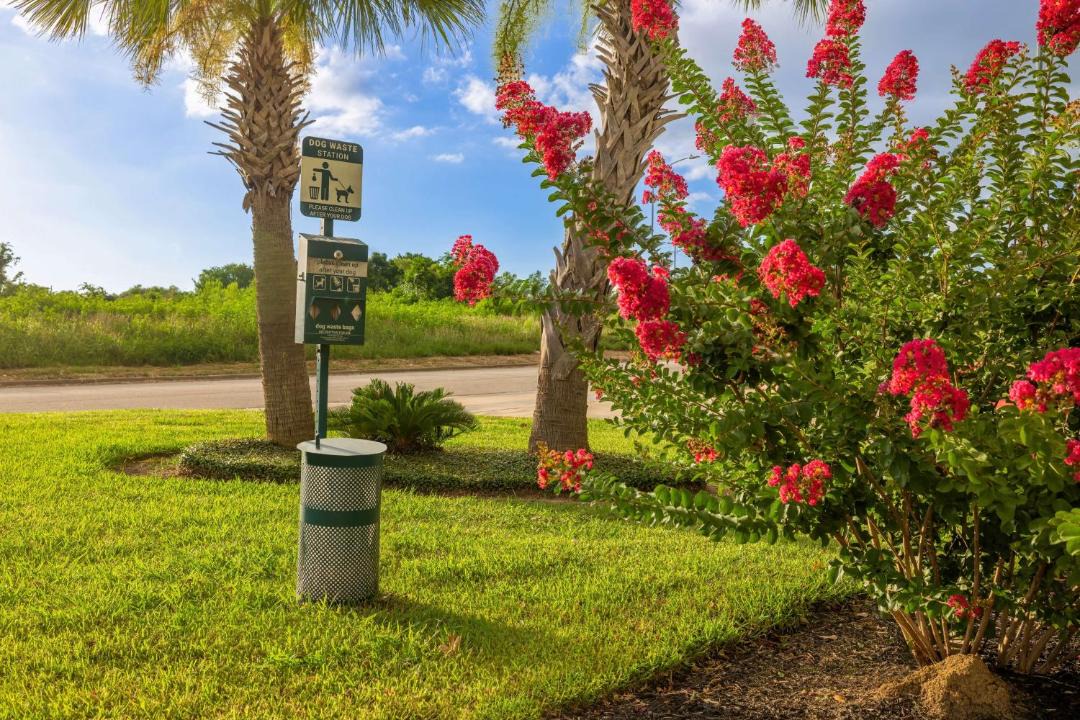 Photo of Outdoor in Brenham